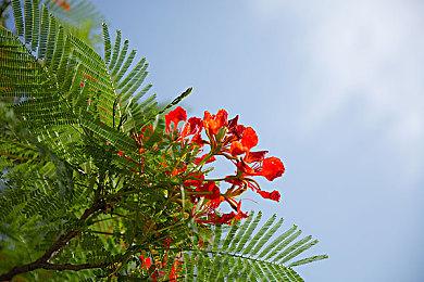 《Dungeons Deep》Steam页面上线 黑暗幻想迷宫探索RPG